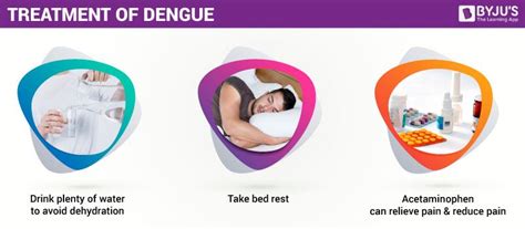 Who fact sheet dengue and severe dengue provides key facts, definition, provides information on global burden, transmission, characteristics, treatment there are four denv serotypes, meaning that it is possible to be infected four times. Dengue - Causes, Symptoms, Treatment and its Preventions