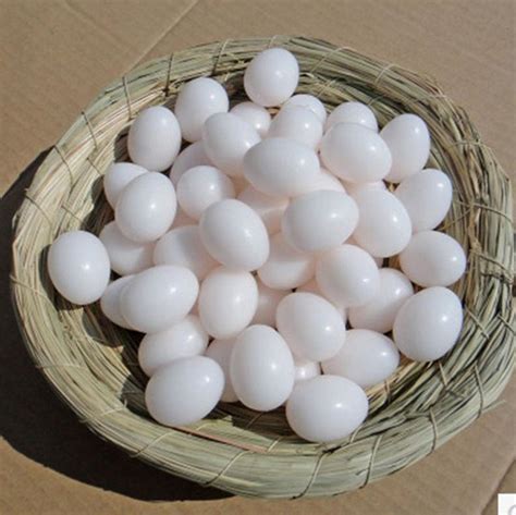 The only question that remains is: Wholesale 20 pc/lot Bird Supplies Cited pigeon eggs with plastic eggs filled pigeon eggs pigeon ...