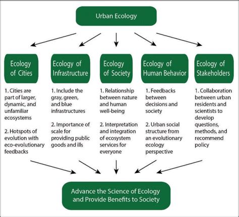 An Example Of Five Different Perspectives Of Urban Ecosystems According Download Scientific