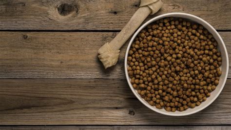 Acana is owned by champion petfoods, who also produces the more expensive brand orijen.since 1979, acana has received numerous awards for their superior products. Orijen Tundra Dog Food - 2020 Reviews & Buying Guide