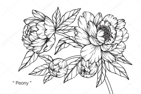Free Free 350 Flower Line Art Svg SVG PNG EPS DXF File