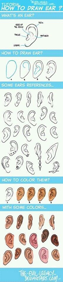 The Different Types Of Ear Shapes And How To Draw Them