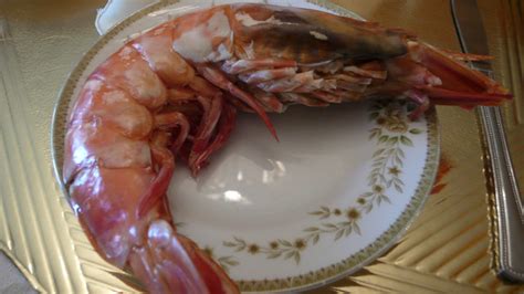 Biggest Shrimp Ever Flickr Photo Sharing