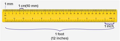 What Is Measurement Units Definition Facts And Examples