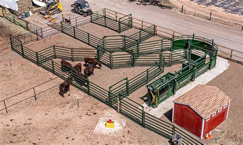 Simple Steps To Designing Beef Cattle Corrals AGDAILY
