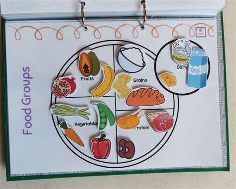 Food Group Sorting Activity Game Food Plate Activity Homeschool