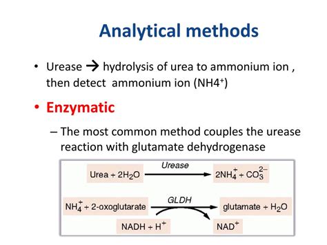 Ppt Non Protein Nitrogennpn Compounds Powerpoint Presentation Free