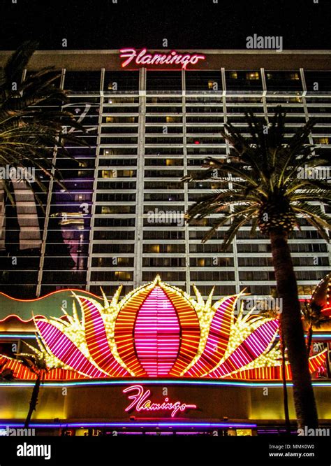 Pink Flamingo Hotel In Las Vegas Nevada Stock Photo Alamy