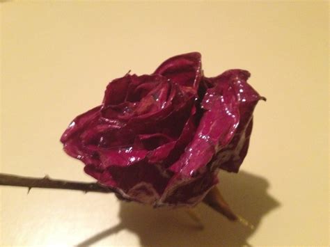 How do you preserve flowers in resin. I dip my roses or paint them with modge podge to save and ...