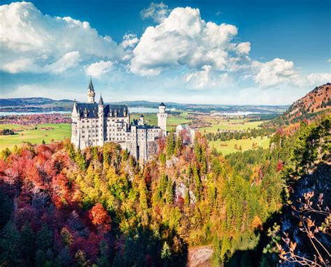 Spectacular Autumn View Of Neuschwanstein Castle Schloss Neuschwanstein