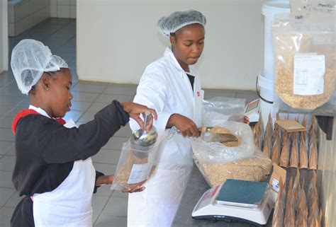 Agro Processing Rural Agricultural Development The Siyazisiza Trust