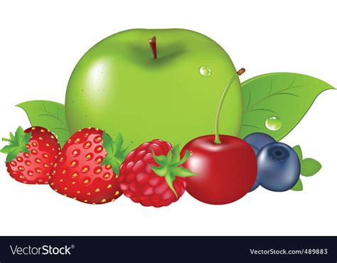 Collection Fruit Royalty Free Vector Image Vectorstock 23d