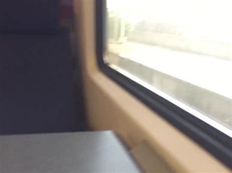 Risky Ride In A Dutch Train Without Panties Public Pussy Flashing