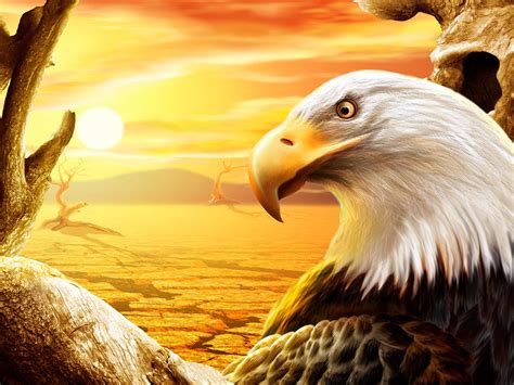 Oct 26, 2018 · how to make cool minecraft wallpapers minecraft 1366×768. 47+ Eagle Screensavers and Wallpaper on WallpaperSafari