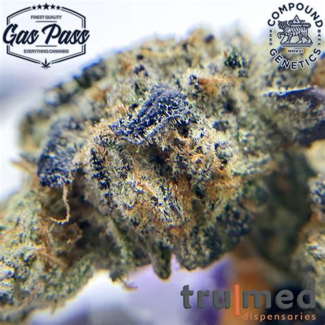 Grape Gas 7 By Trumed Hippy Life Entertainment