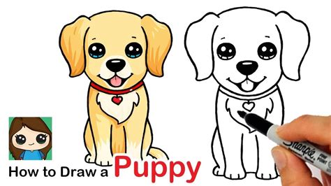 How To Draw A Labrador Golden Retriever Puppy Easy Youtube Puppy