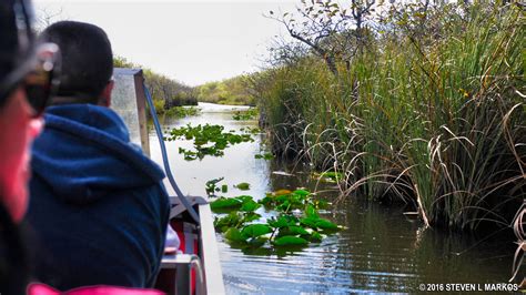Everglades National Park Airboat Tours Bringing You America One