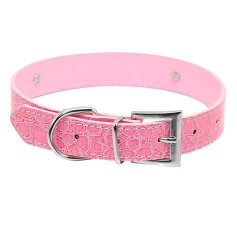Personalized Sphynx Cat Collar With Rhinestone Buckle