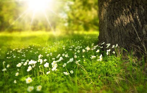 Tips For A Happy Healthy Spring