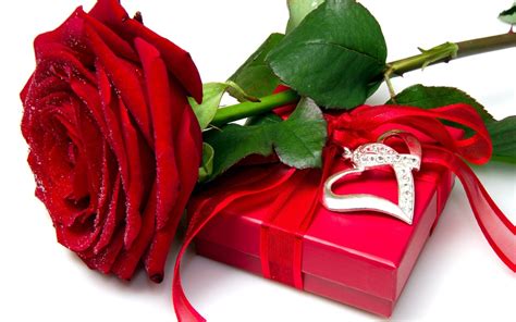 Red Rose Heart Love Flower Box 2560x1600