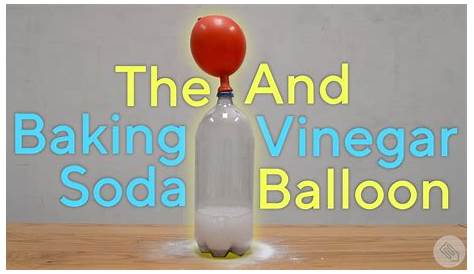 Baking Soda Vinegar Experiment Worksheet - bmp-wabbit