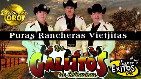 Los Gallitos De Chihuahua Puras Rancheras Viejtas 2023 Youtube