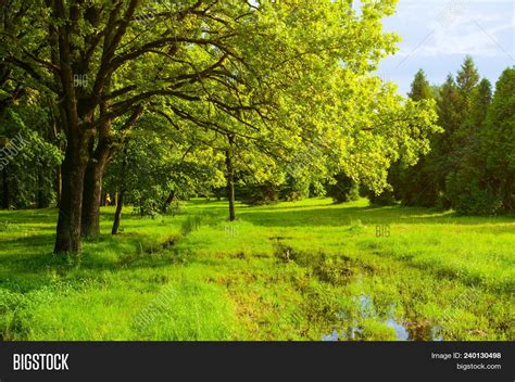 Spring Landscape Image And Photo Free Trial Bigstock