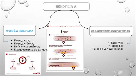 Ecb Mutações Genéticas A Hemofilia A Trabalho De Alunos Do 11º A
