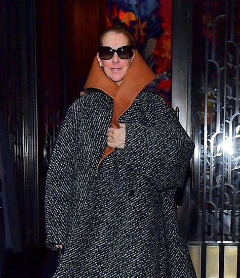 The singer doesn't care if. CELINE DION Leaves Her Hotel in New York 03/06/2020 - HawtCelebs