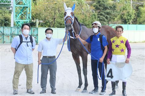 深まる秋に それぞれの道を探って 地方競馬の楽天競馬｜日替わりライターブログ 楽天ブログ