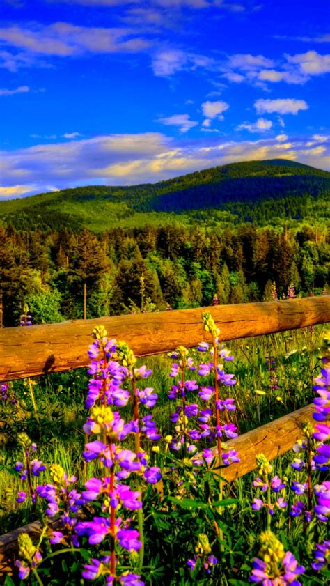 Free Download Spring In The Mountains Wallpaper Wallpaper Collective
