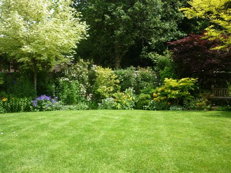 A Gallery Of Beautiful Lawns The Lawn Man