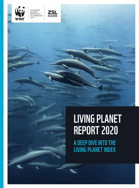 Pdf Living Planet Report 2020 Bending The Curve Of Biodiversity Loss