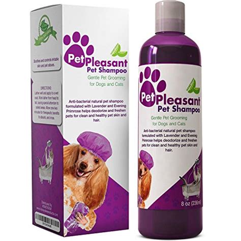 Don't use human shampoo or dog shampoo on your cat. Dealing With Dog Odors - Will Air Purifiers Help With Dog ...