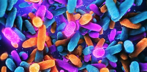 Humans Evolved With Their Microbiomes Like Genes Your Gut Microbes