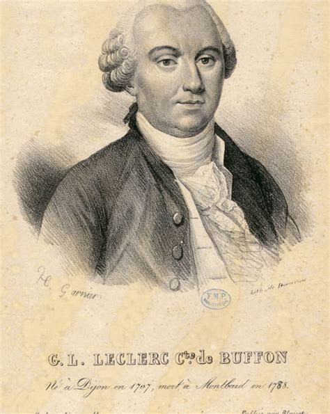 Georges Louis Leclerc De Buffon La Côte Dor Jadore La Côte Dor J