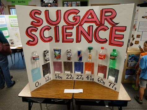 Get Science Activities For Elementary Students Pictures - Skuylahhu
