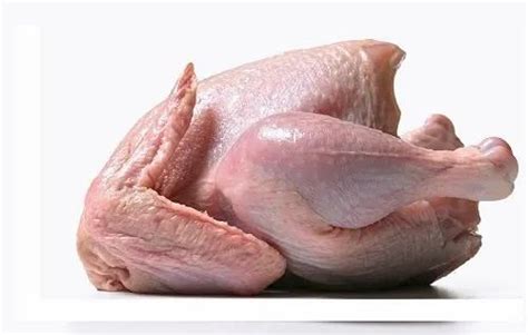 Frozen Whole Chicken For Restaurant At Rs 169000ton In Perumbavoor