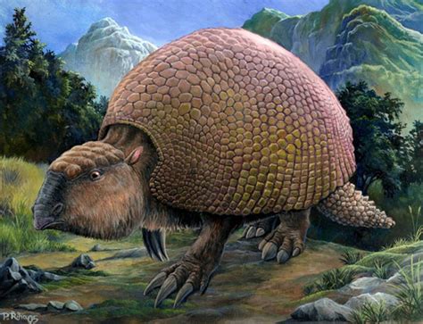 Some people believe we may soon get even more information about very old animals. Extinct Animals from the Pleistocene Discovered in Mexico