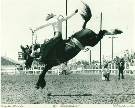 Top 10 Greatest Saddle Bronc Riders In Canadian History