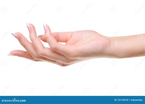 One Elegant Female Hand Stock Photo Image Of Care Close 13110518