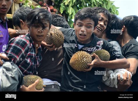Jombang Indonesia 382014 Partisipans Scrambling Durian At A