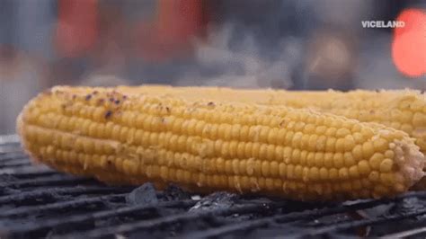 Corn Gif By F Ck That S Delicious Find Share On Giphy