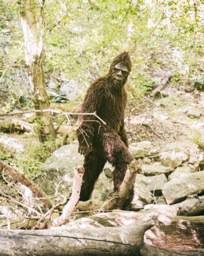 The Legend Of Bigfoot A Primer On The Mysterious Sasquatch