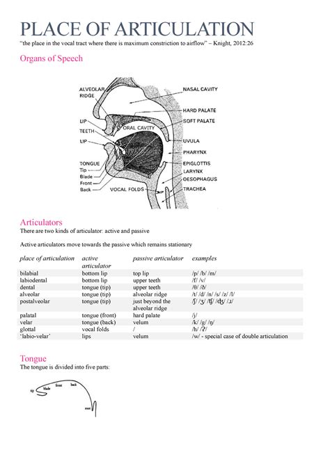 3 Place And Manner Of Articulation Place Of Articulation Place In The