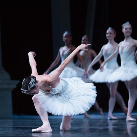 Noelani Pantastico And Seth Orza Swan Lake Ballet Pictures Swan