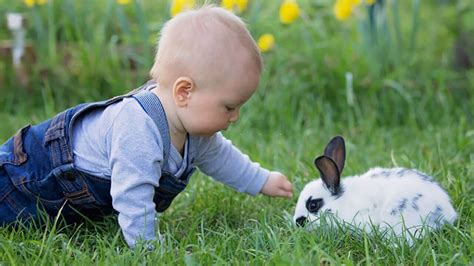 10 Best Pets For Kids - Animal On Planet