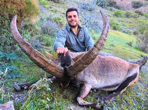 Spain Big Game Beceite Ibex Quality Hunts 1 Hunt Provider
