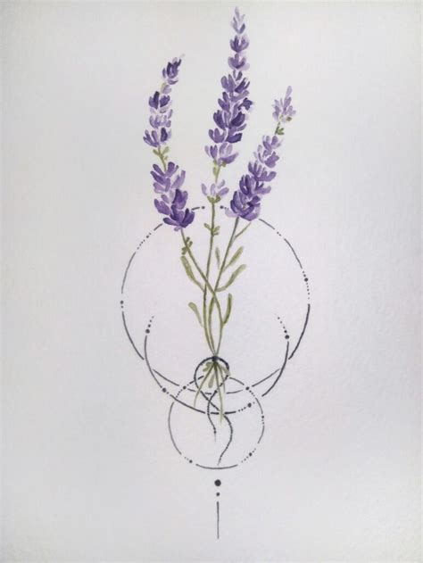 10 Reasons To Grow Lavender Artofit