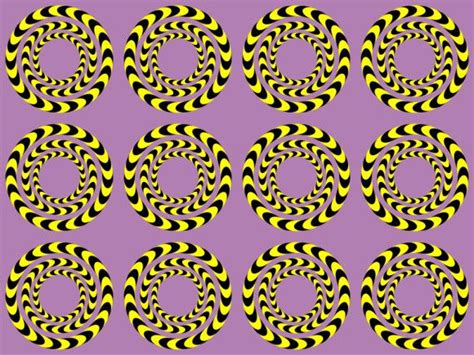 Cool Optical Illusions That Will Fool Your Eyes Cool Optical